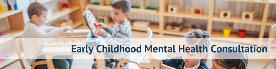 Early Childhood Mental Health Banner.png