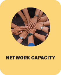 Network Capacity