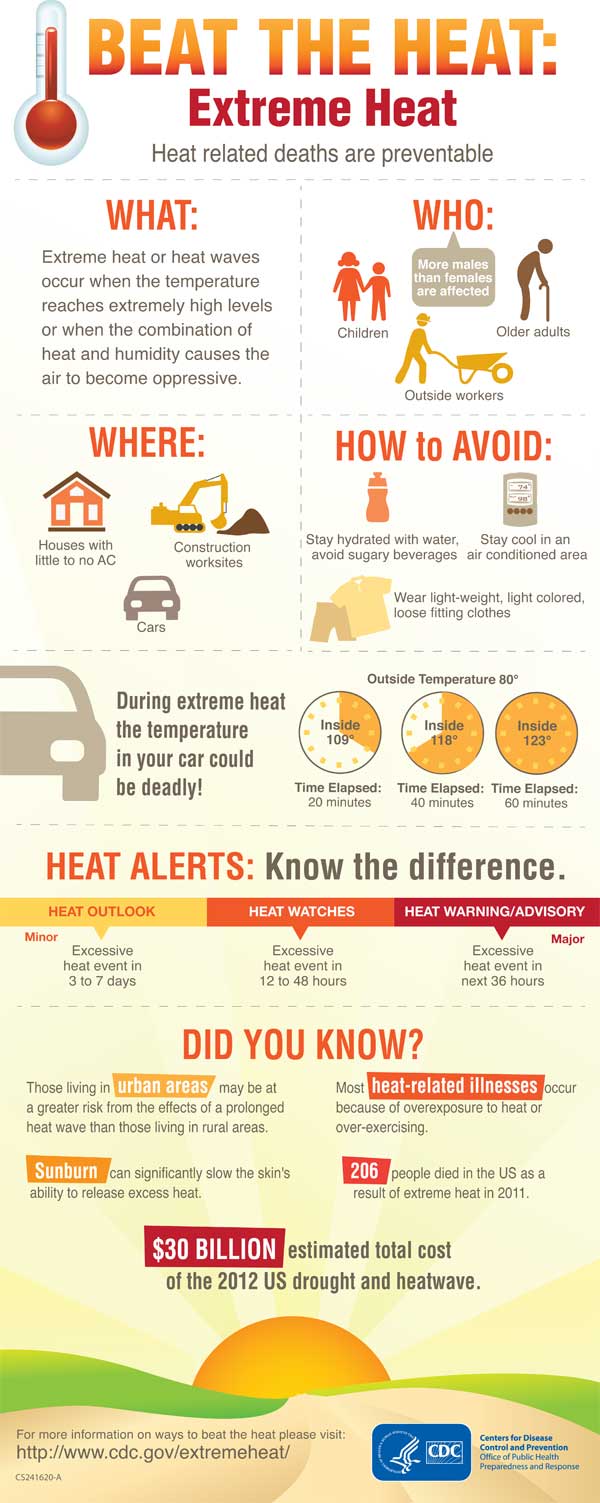 Heat Stress Infographic