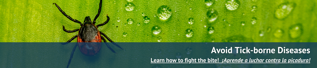 Homepage Tick Banner.png