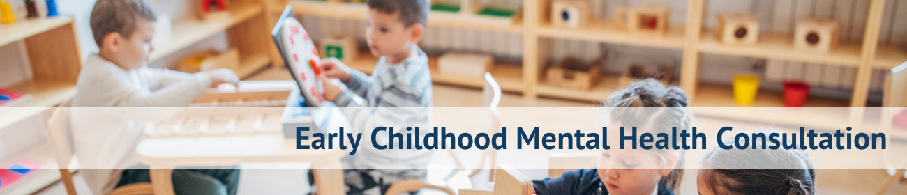 Early Childhood Mental Health Banner2.png