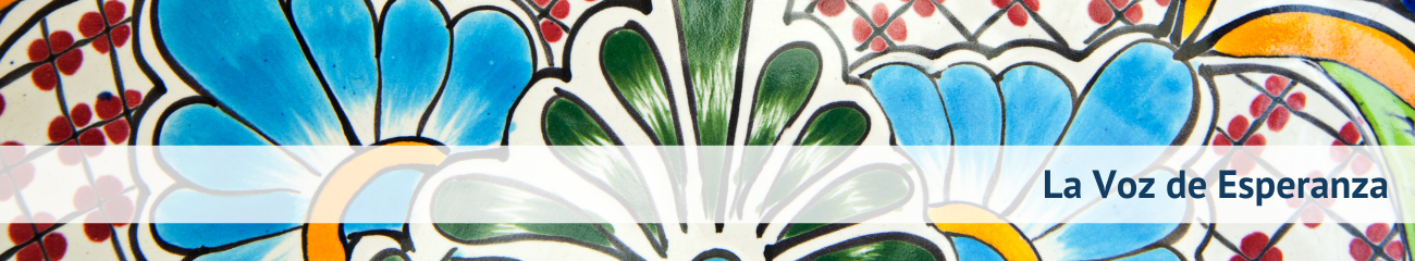 _La Voz banner 2.png