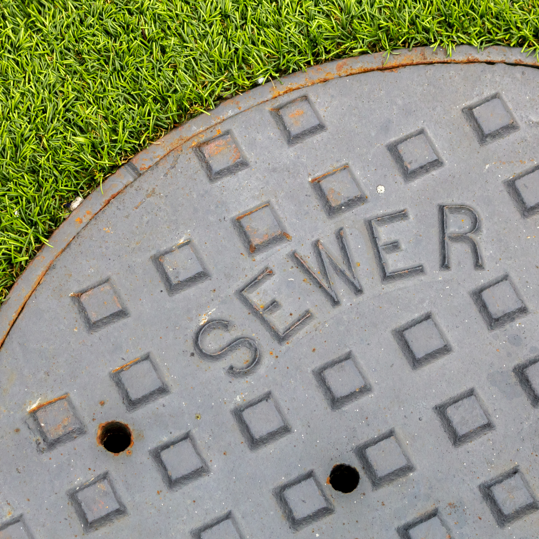 Untitled design (28).png