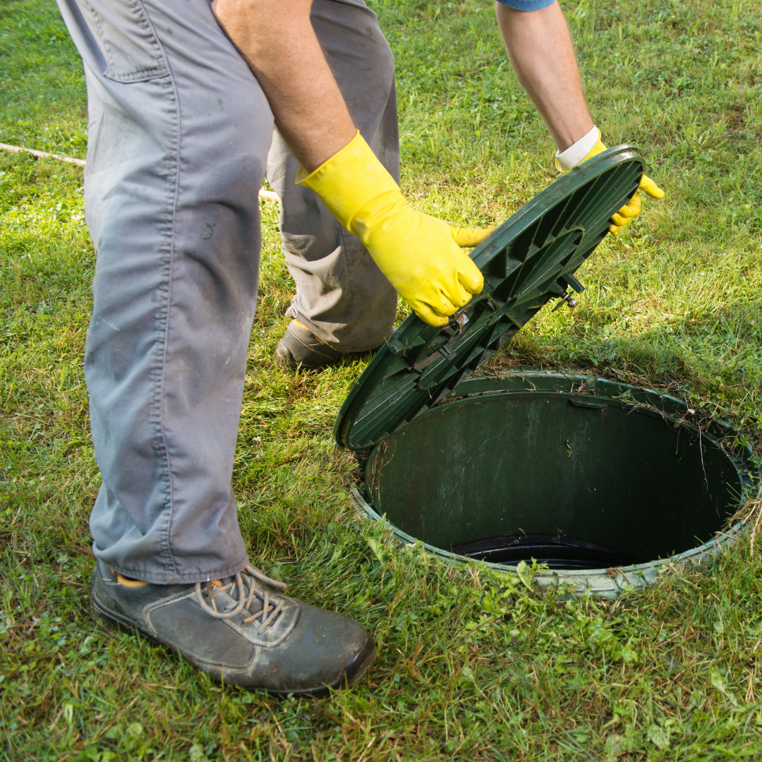 Untitled design (26).png