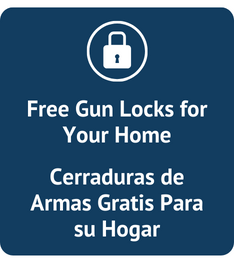 Gun lock image for web (1).png