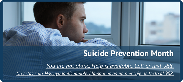 Upper Homepage Images (4).png